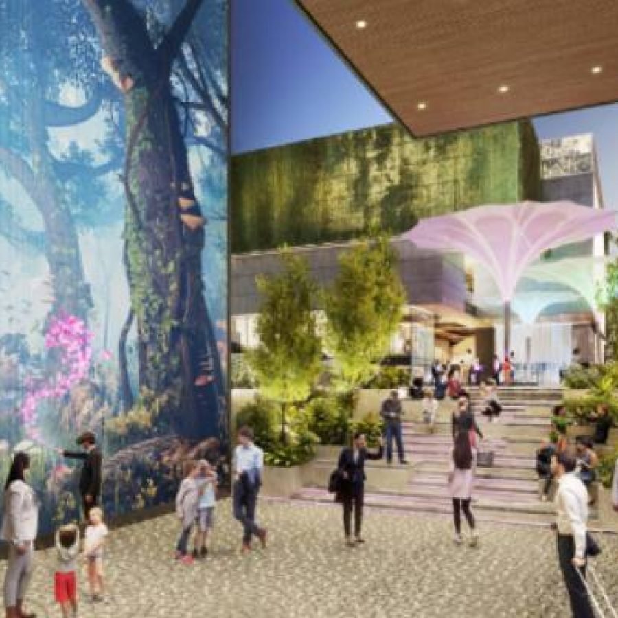 Elan Paradise — image 5