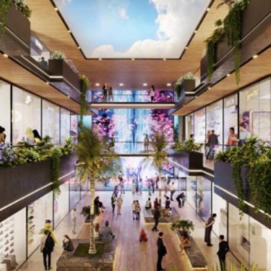 Elan Paradise — image 6