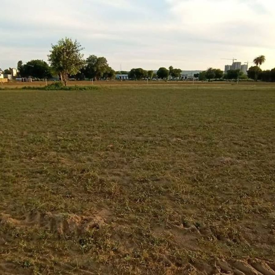 Pal Shiva Som Valley — image 5
