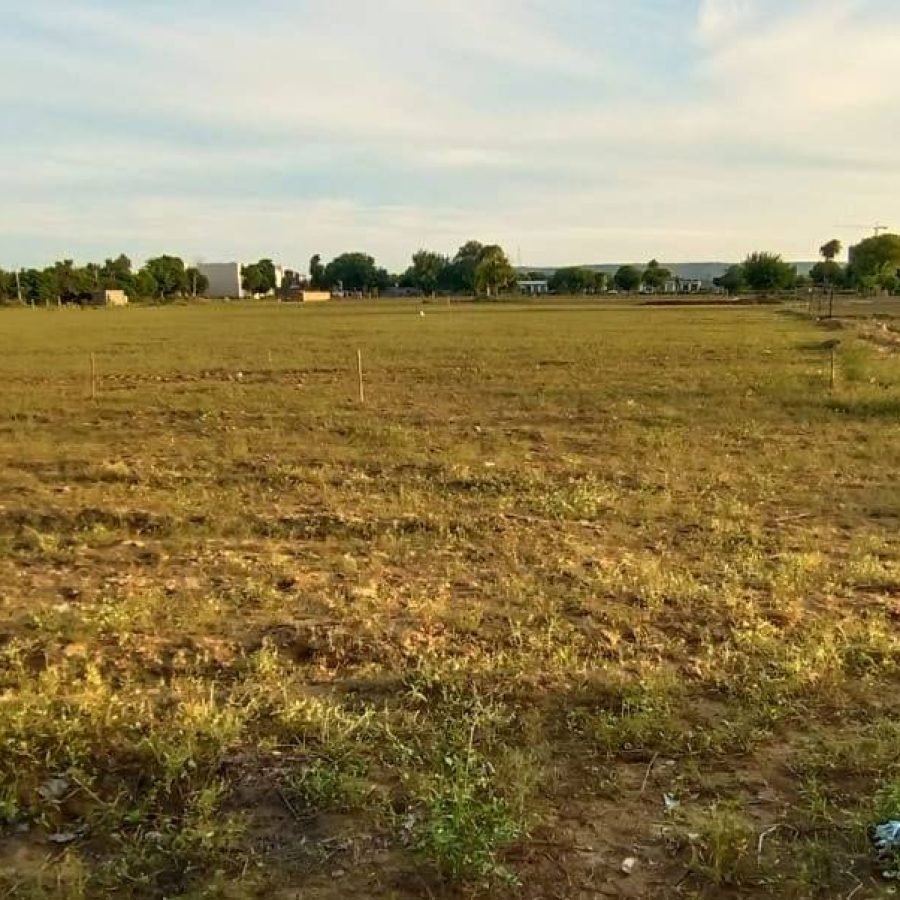 Pal Shiva Som Valley — image 6