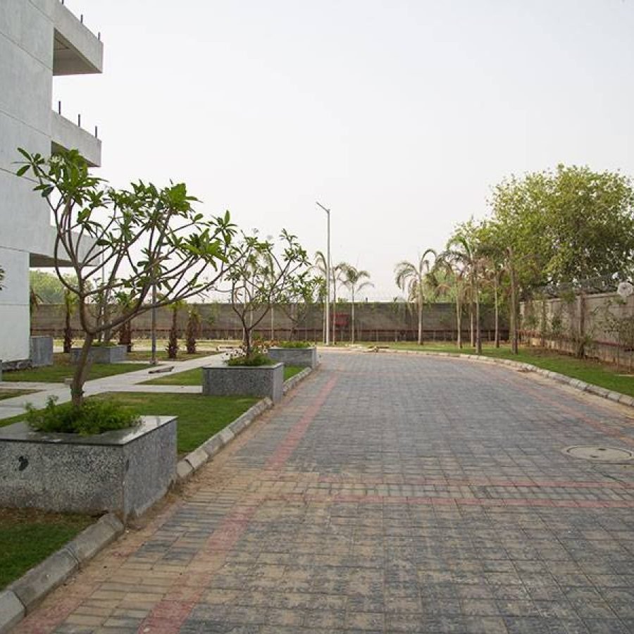 Paras Dews — image 3