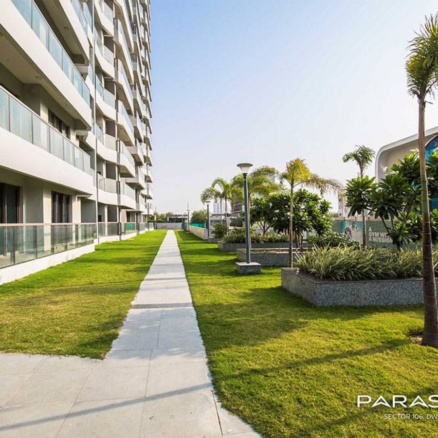 Paras Dews — image 7
