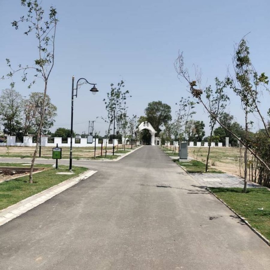 Paras Ekam Roseview 2 — image 10