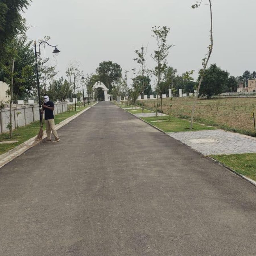 Paras Ekam Roseview 2 — image 6