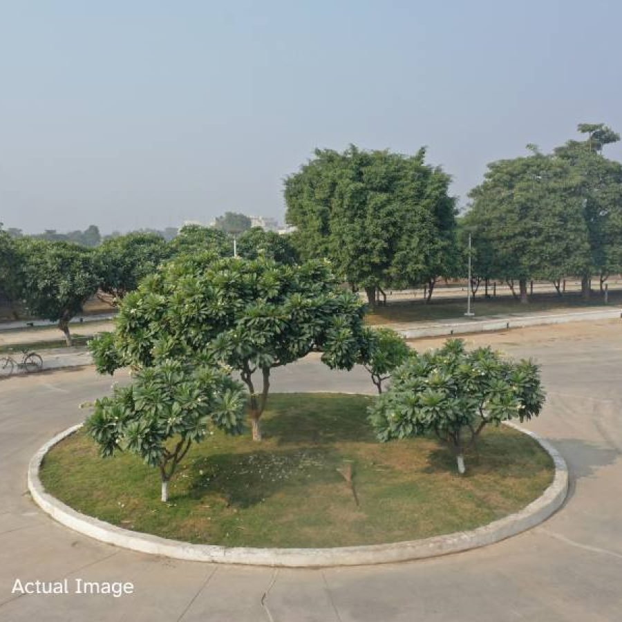 Prominent Swastik Greens — image 12
