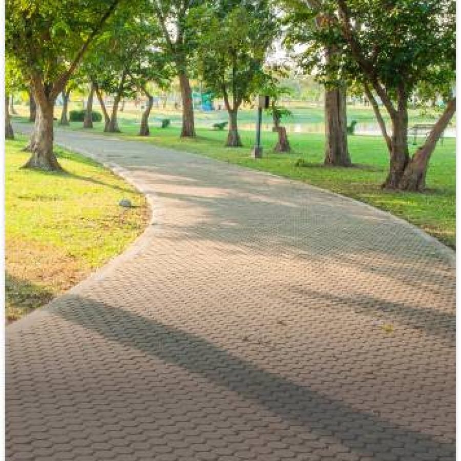Prominent Swastik Greens — image 7