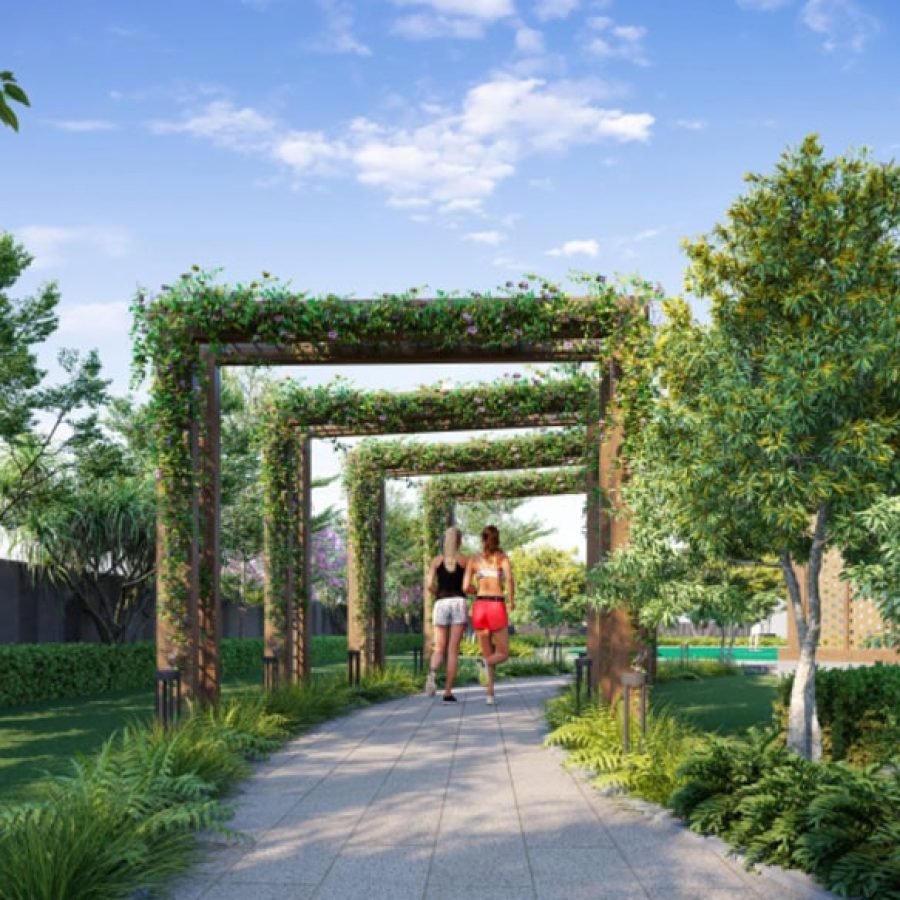 Roots Courtyard 2 — image 10